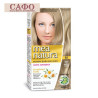 Ammonia-free hair dye № 9.1 Ash Very Light Blonde Farcom Mea Natura Hair Color with organic extracts