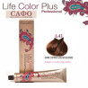 Боя за коса Фармавита FarmaVita Life Color Plus № 6.43 Dark Copper Golden Blonde
