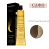 professional hair dye, Lorvenn Hair Professionals, Beauty Color