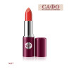 Стойкая классическая губная помада Bell Classic Lipstick № 07