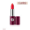 Long Lasting Lipstick Classic Bell Classic Lipstick № 19