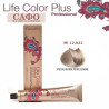 Hair dye № 12.022 Special Blonde Pearl Cendre FarmaVita Life Color Plus
