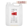 Conditioner for dry hair 3500 ml Farcom Seri Conditioner Moist Core