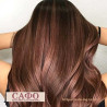 Indian hair henna Chestnut Herbul Henna