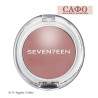 Матовые румяна для лица № 9 Apple Cider Seventeen Natural Matte Silky Blusher
